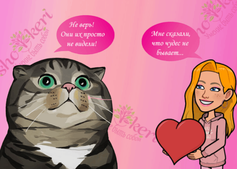 Почему у любви нет породы? Или почему беспородные кошки такие же прекрасные, как и породистые