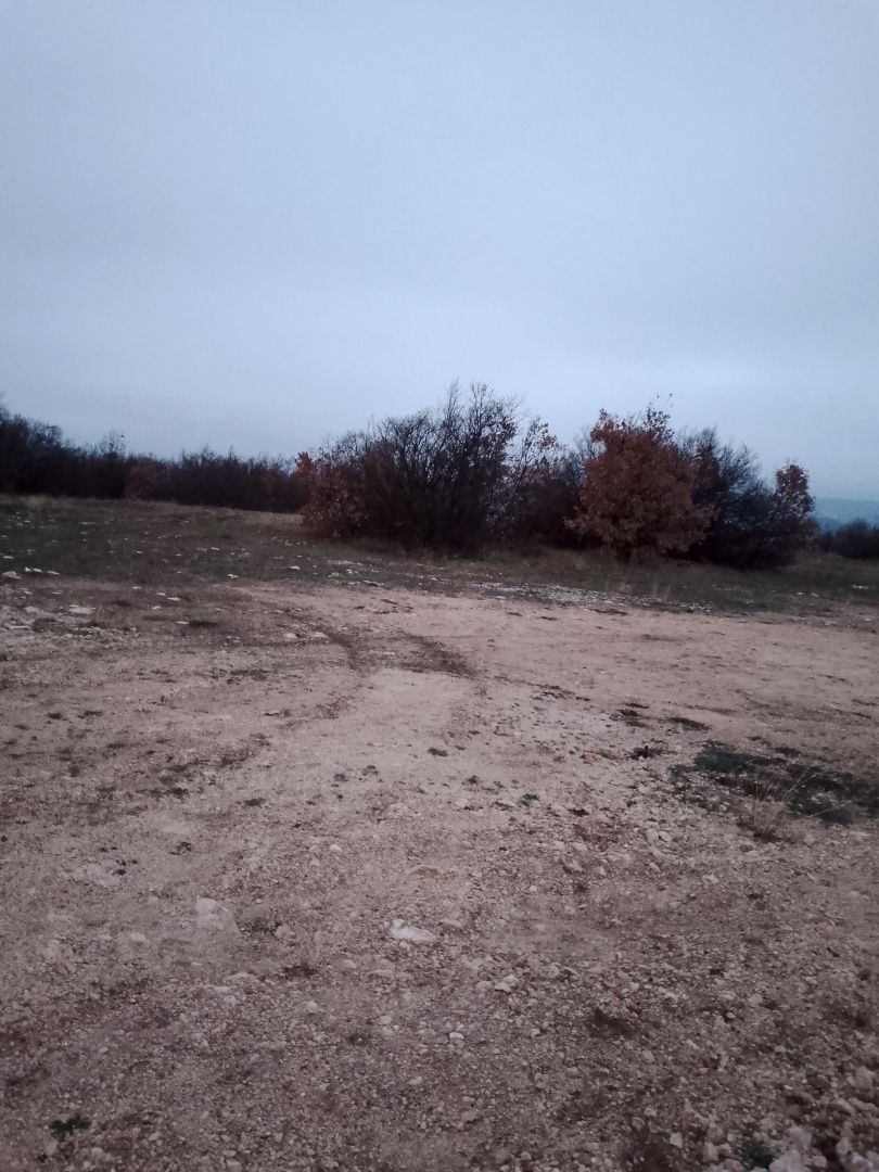 Если сосед любит крыс