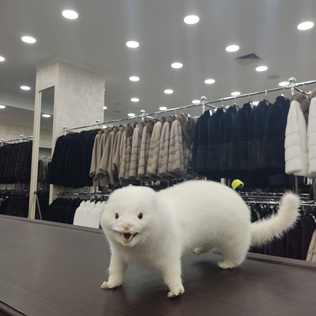 История про то, как мы с подругой на меховую фабрику шубы смотреть ездили