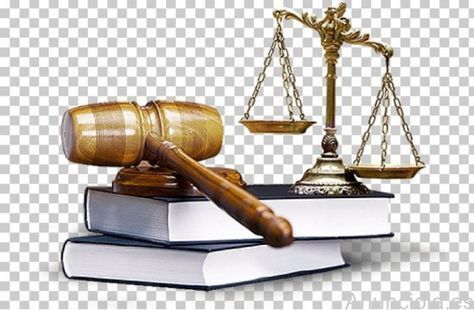 Быть ли законопроекту о признании законными супругами гражданских жен погибших в СВО?