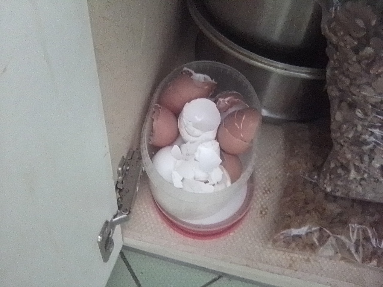 Запахло весной: семена и яичная скорлупа готовятся к десанту на дачу