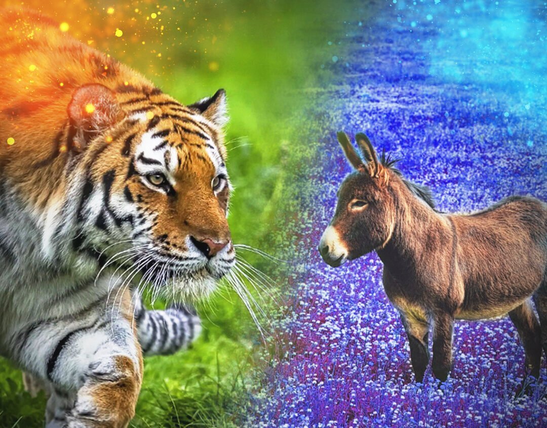 Притча: никогда не спорьте с ослами! Почему порой лучше согласиться, чем убеждать людей