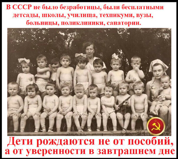 В год семьи демография России оказалась на историческом минимуме. В неволе не размножаются