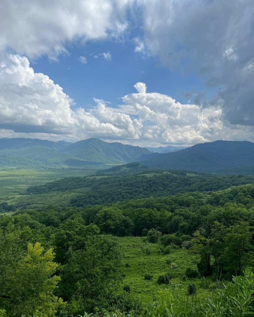 Стала любить тишину - взросление или затворничество?