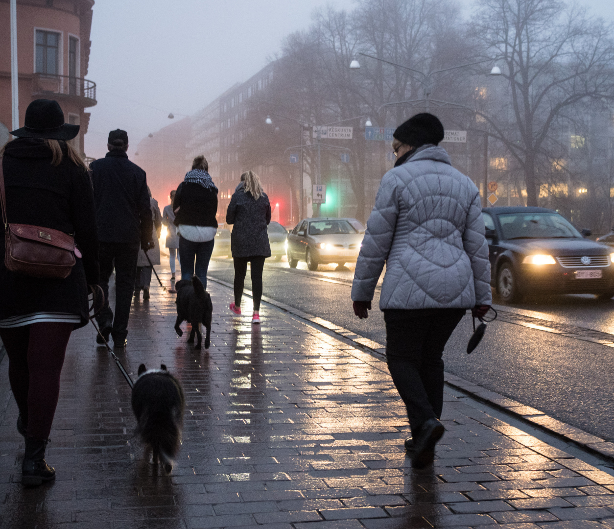 Какое количество меланхоликов в мире?