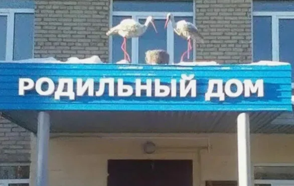 Халатное отношение врачей? Или просто не досмотрели?