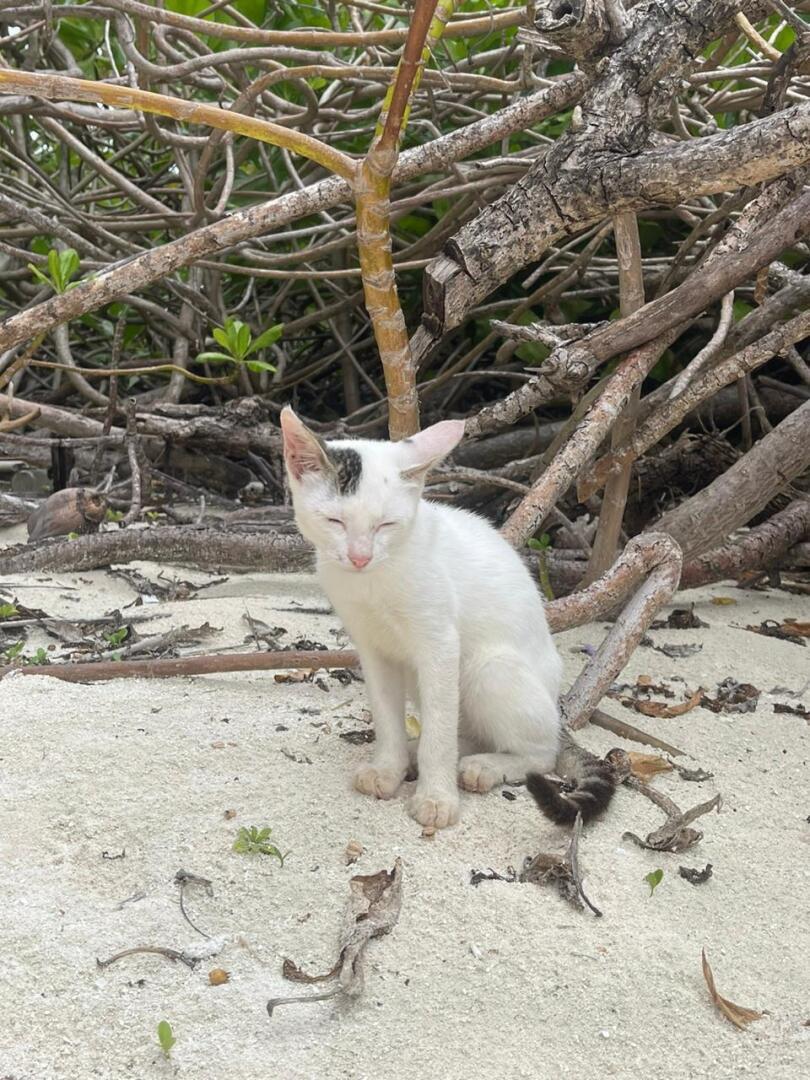 Возврат налогового вычета в 2025 году. Что изменилось.