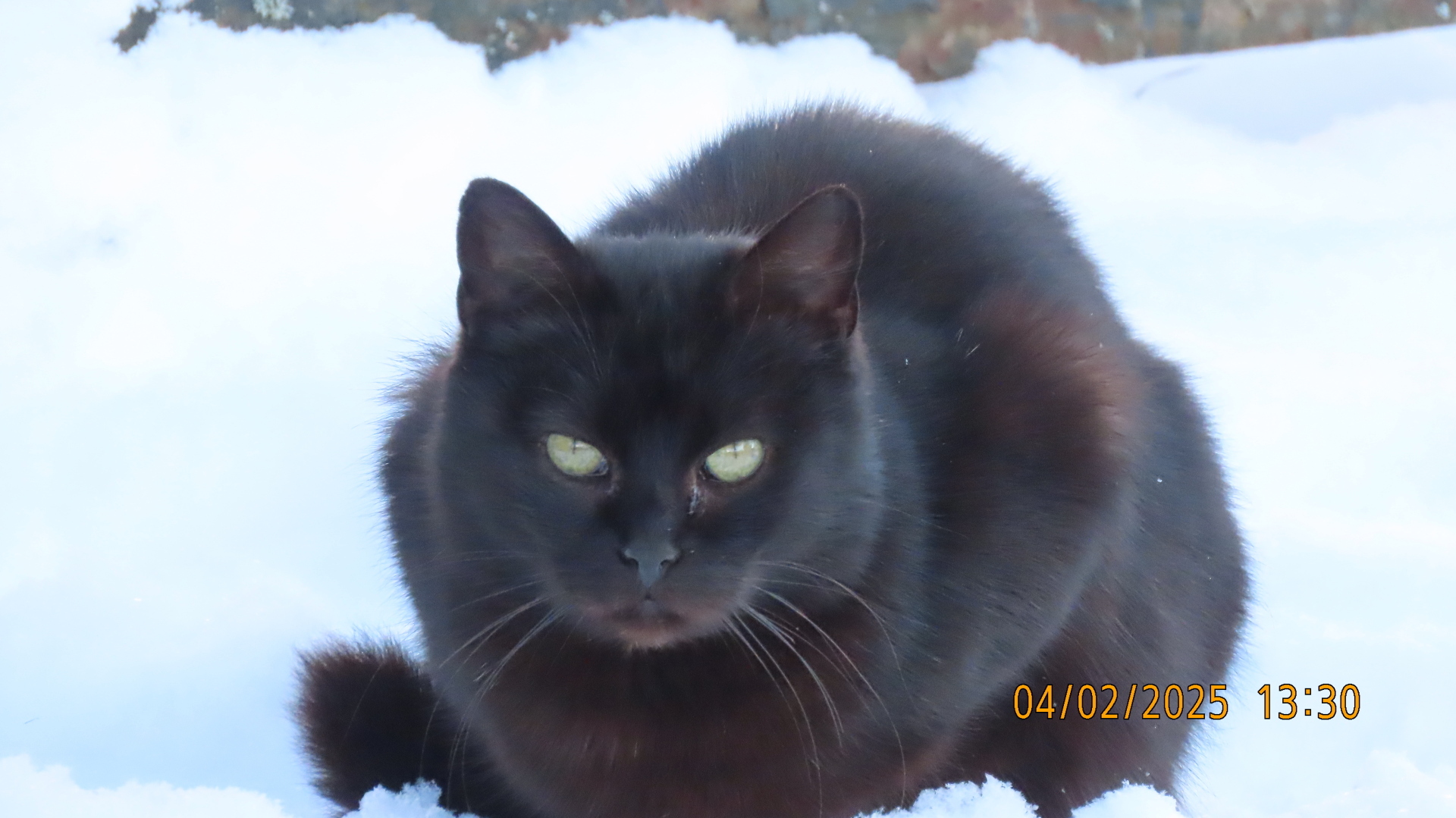 Книжки с полки/ Грегори Макдональд «Отчаянный»/ Часть вторая. «Сослагательное наклонение»/