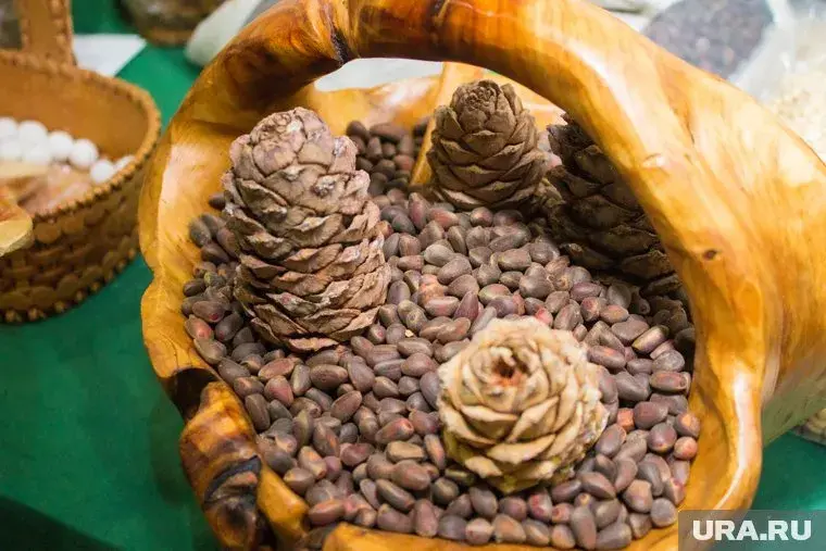 Польза и вред орехов