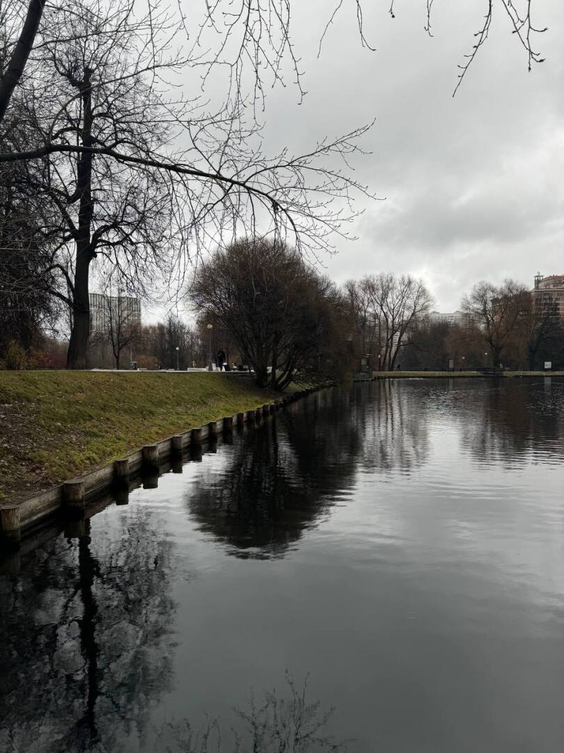 Леса в Москве