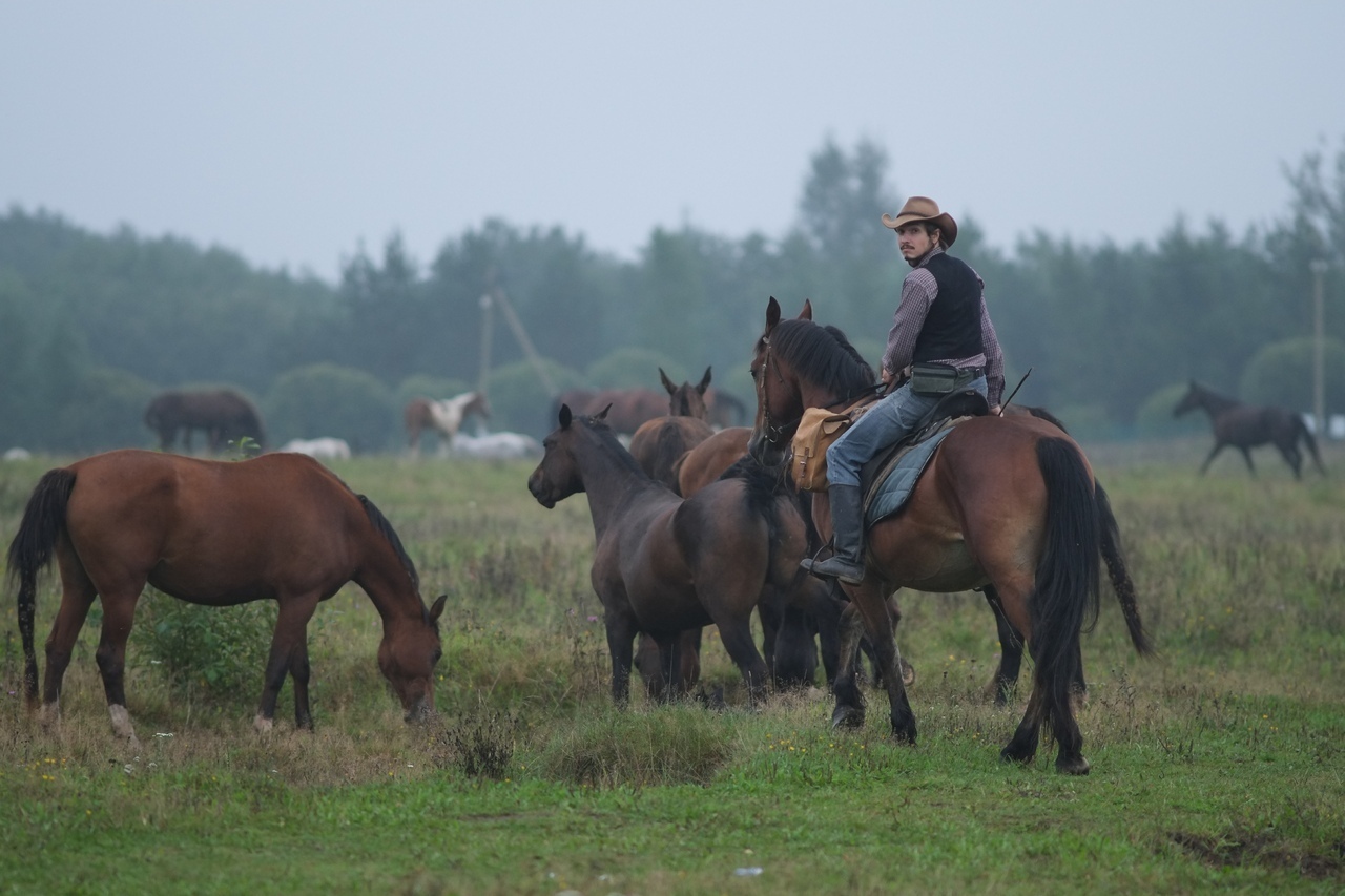 Знание, понимание, ощущение.