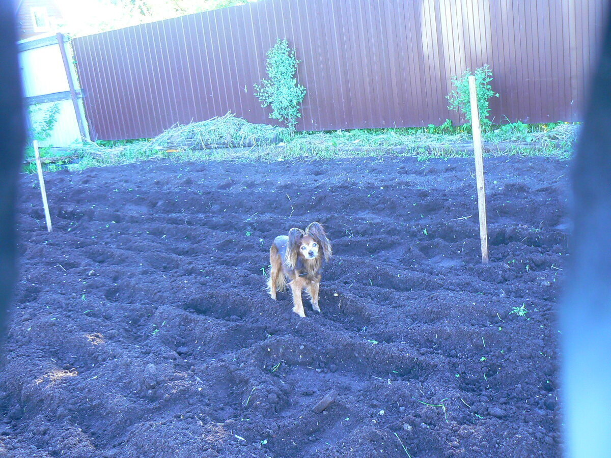 Отпуск / В память о друге/