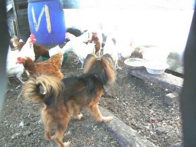 Отпуск / В память о друге/