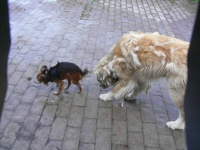 Отпуск / В память о друге/