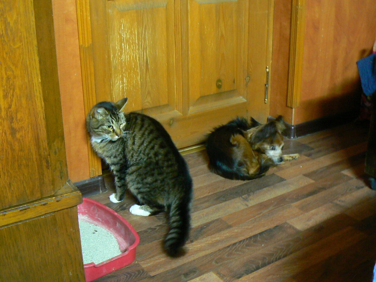 Отпуск / В память о друге/