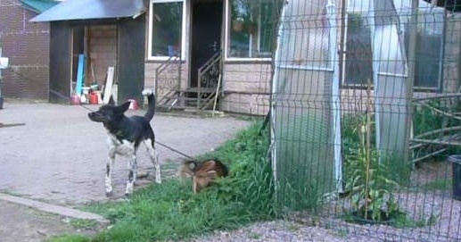 Отпуск / В память о друге/