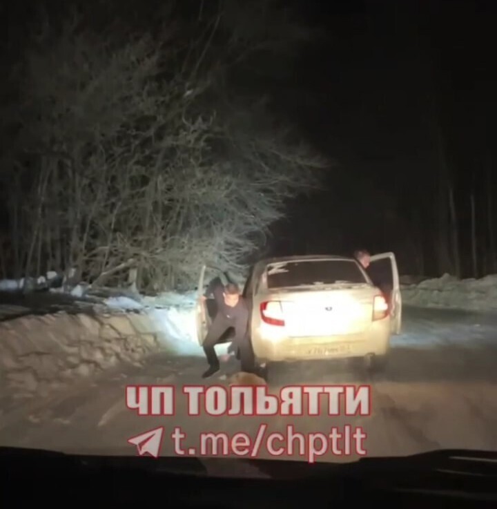 Тольяттинские несовершеннолетние живодеры жестоко убили лису