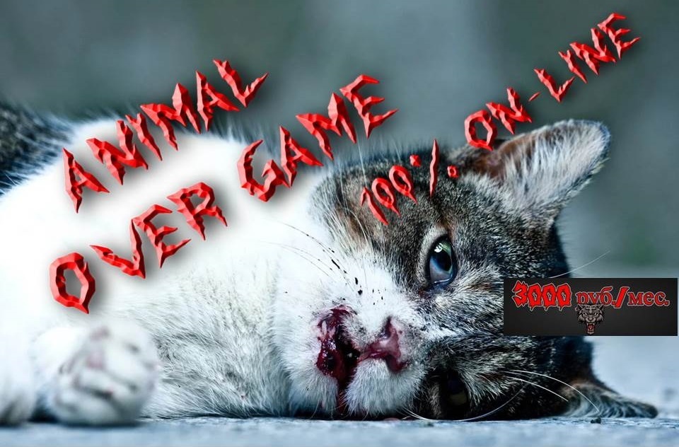 ⚡⚡Теперь для любителей треша, есть собственный канал)))😱 Смотрите трешь в 8К🤩.