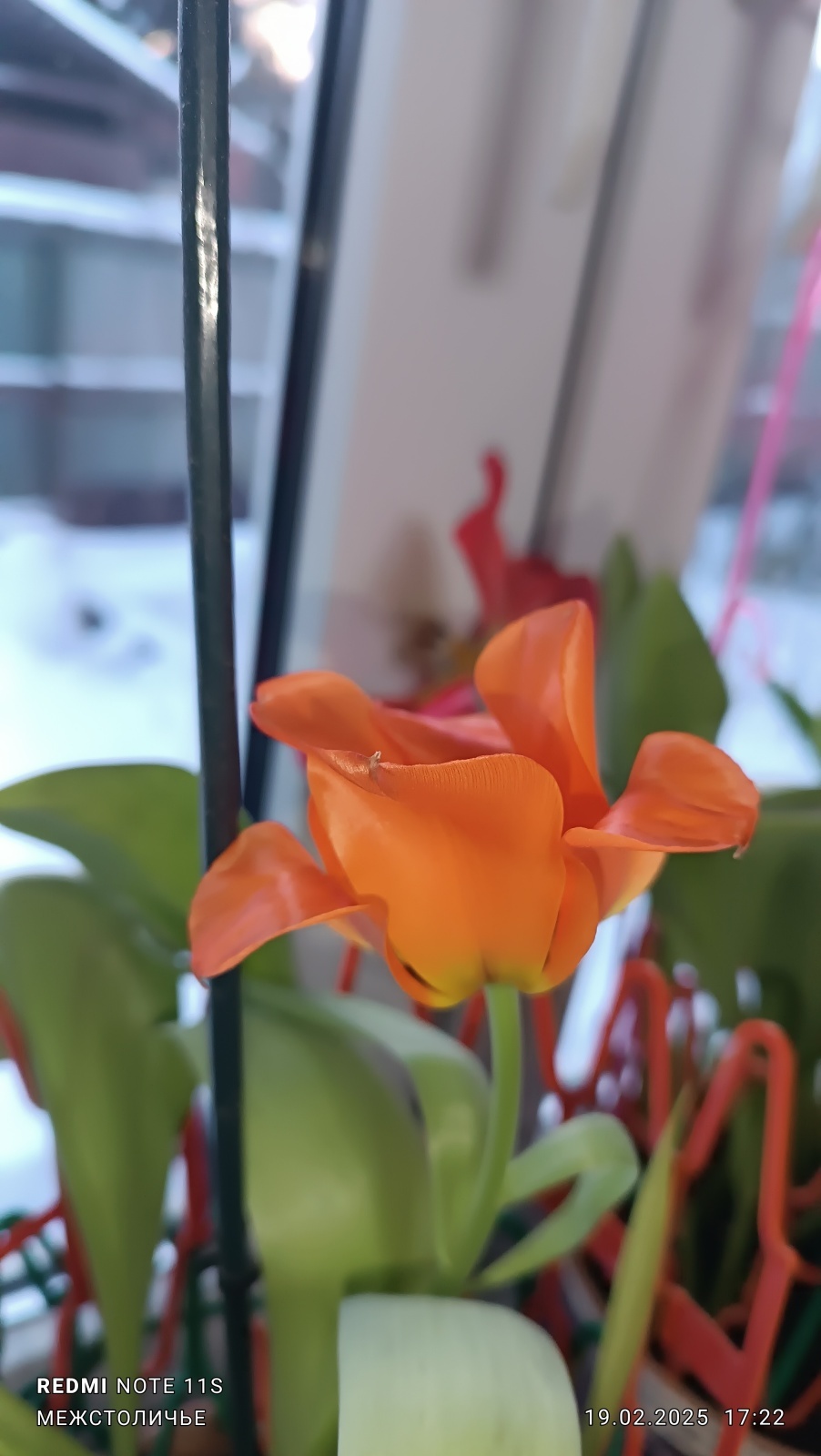 От Грегори Макдональда («Отчаянный») к Стивену Кингу и дальше. / Договора и массовка./ Часть четвёртая и последняя / «Имплементация»