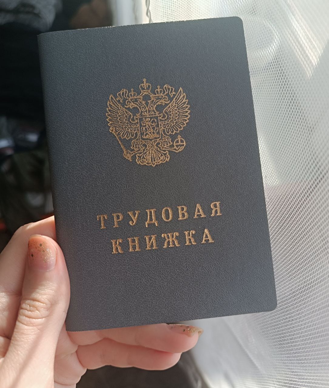 "Вы нигде не учились, раз тут работаете?". Мой опыт работы в алкомаркете "Градусы"