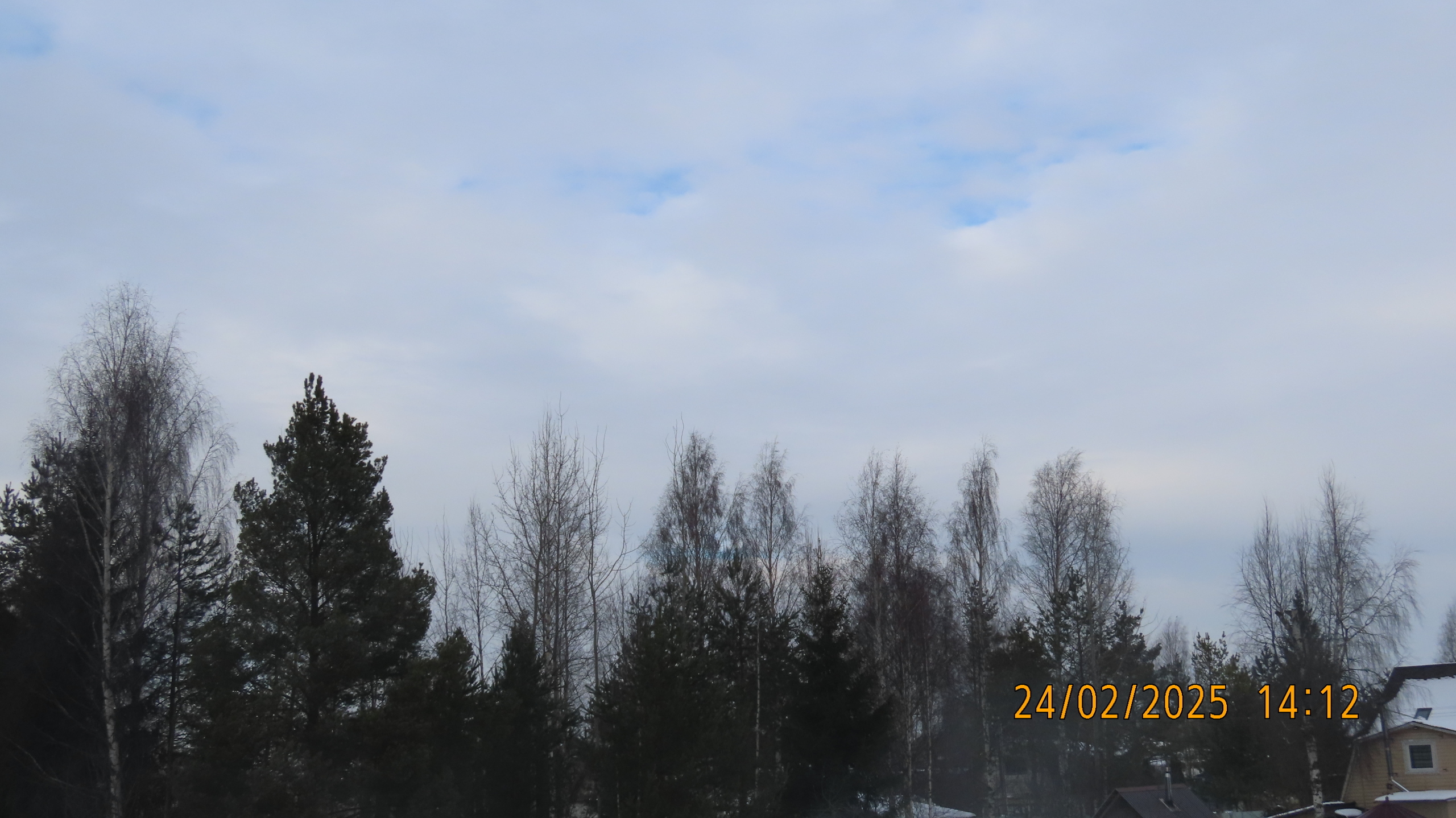 Последний понедельник Февраля. /Межстоличье/