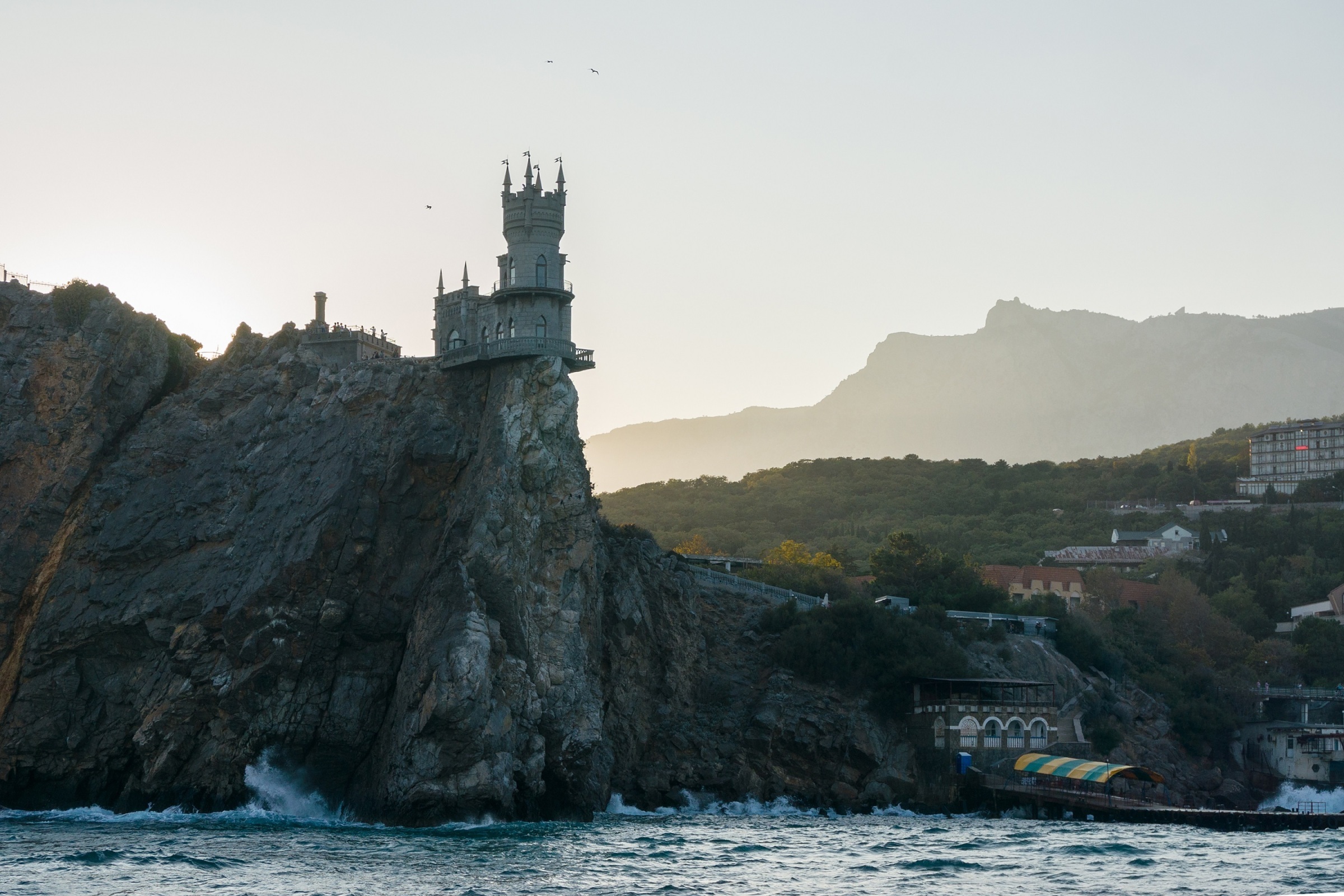 И как таких людей земля носит. В Крыму неизвестный выбросил кошку с обрыва в море