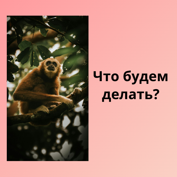 Зачем мужчина дома - 5 причин отказаться