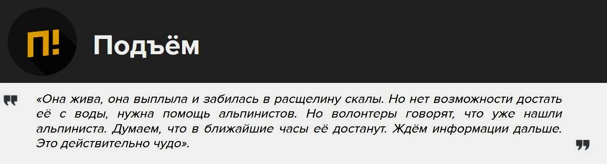 Это чудо! Изданию «Подъём» сообщили, что выброшенная в Крыму со скалы кошка Муся, найдена Живой!