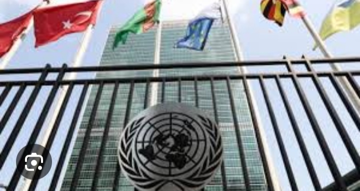 Резолюция в ООН