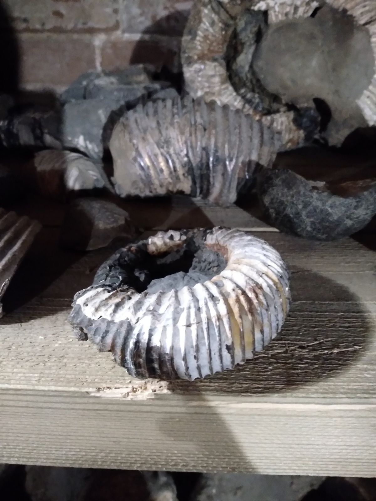 Музей Симбирцит в Ульяновске. Уникальный музей уникального минерала.