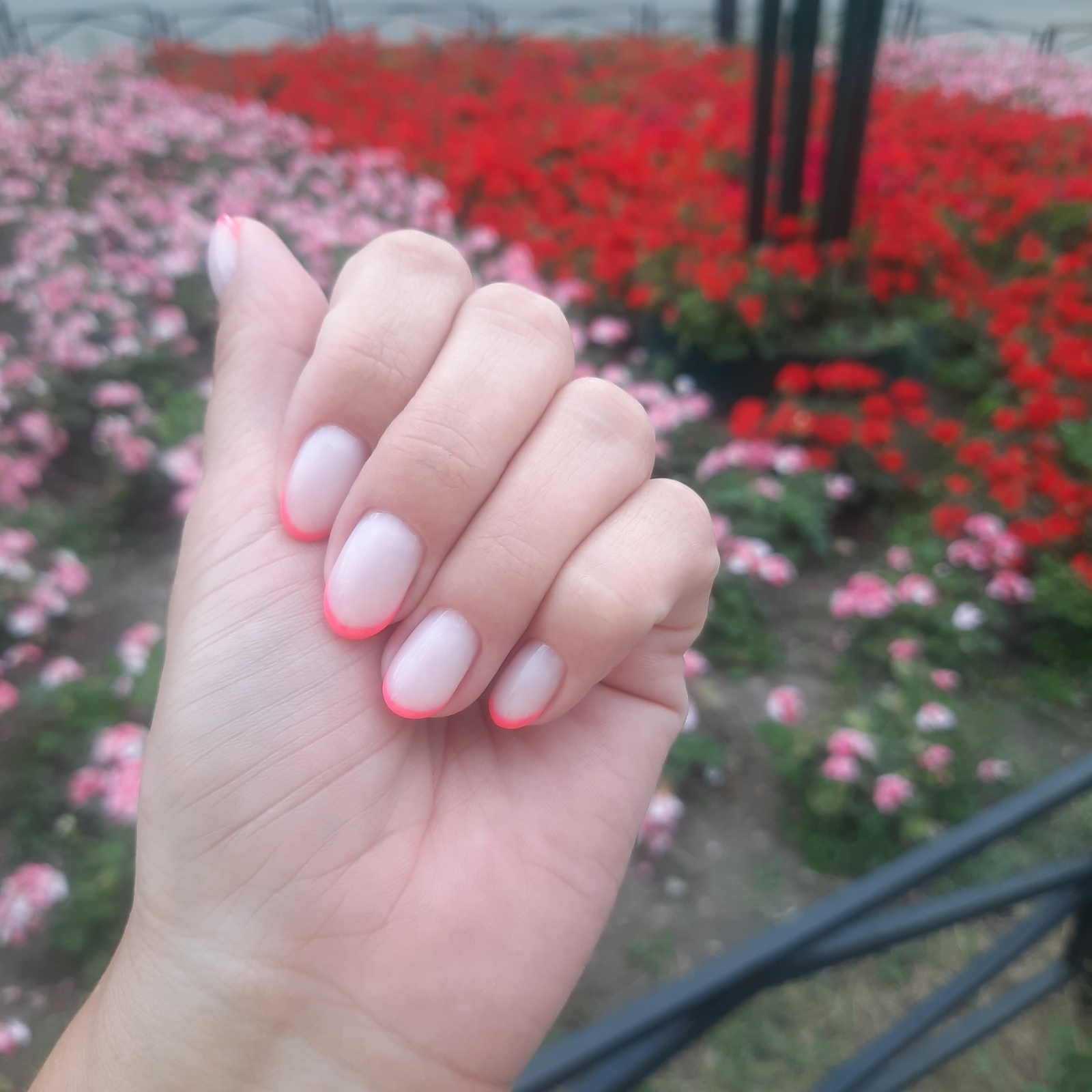 Говорят, что он уже не в моде. А мне все равно. Или 5 причин почему я люблю гель-лак.