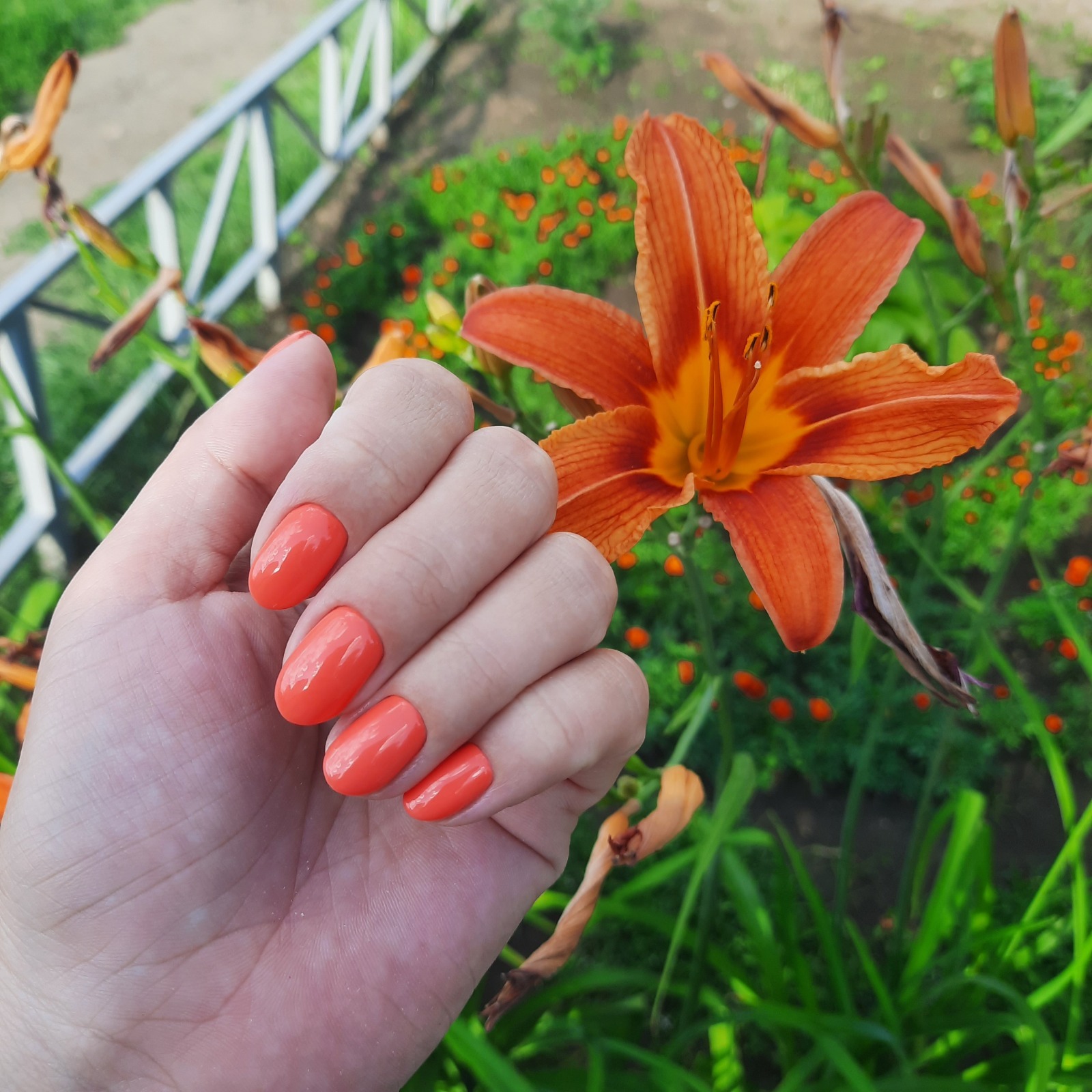 Говорят, что он уже не в моде. А мне все равно. Или 5 причин почему я люблю гель-лак.