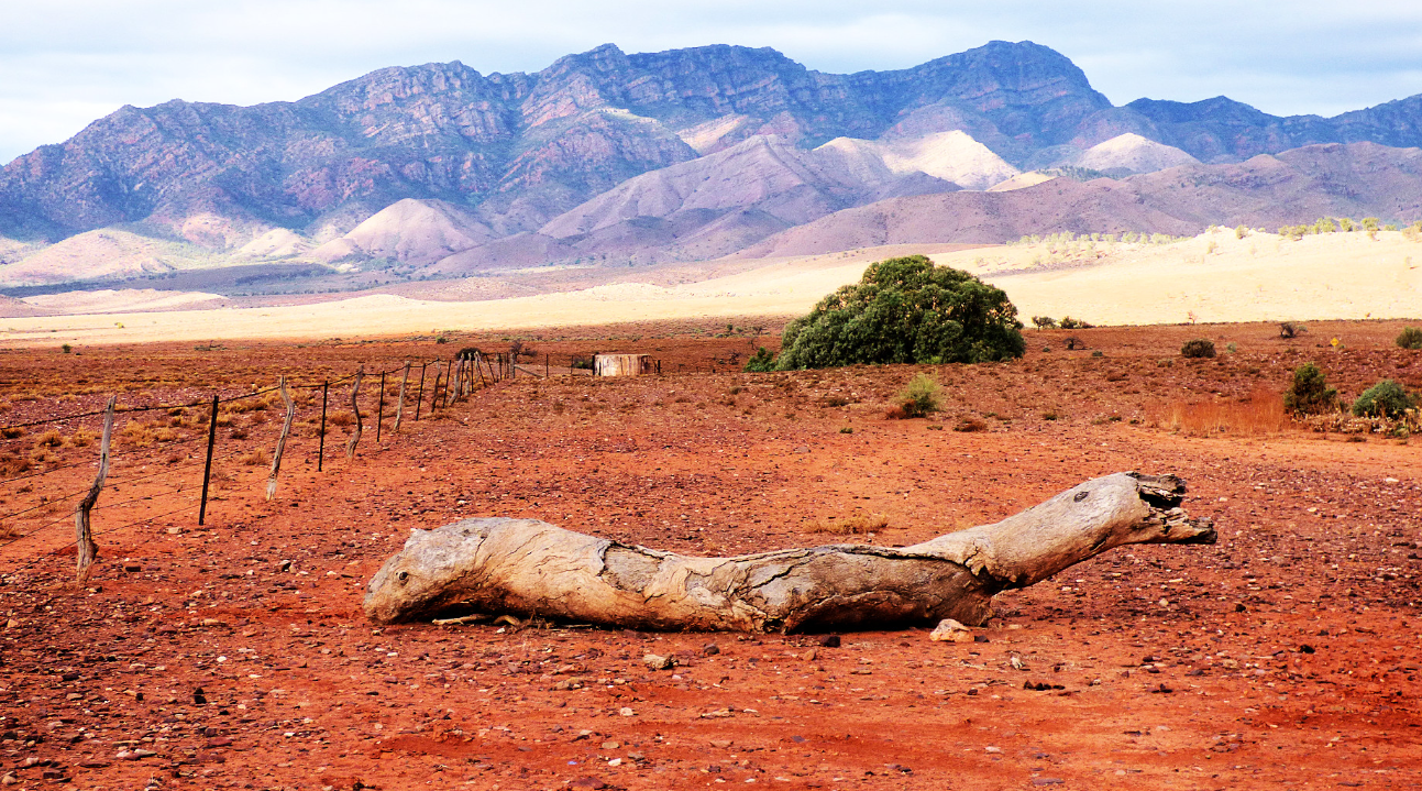 Уникальная природа Австралии (часть 2)