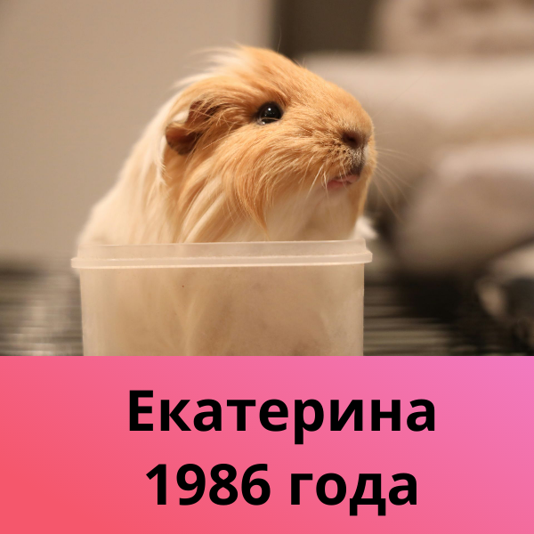 Сколько лет Путиной?