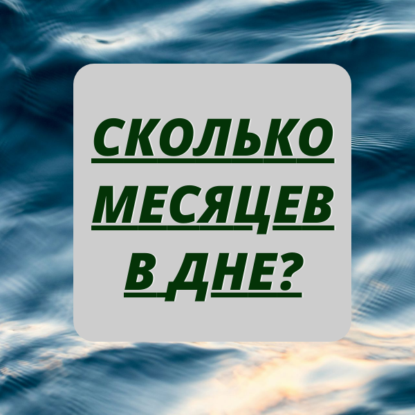 Сколько месяцев в дне - вопрос из интернета