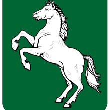 Томичка, г. Томск