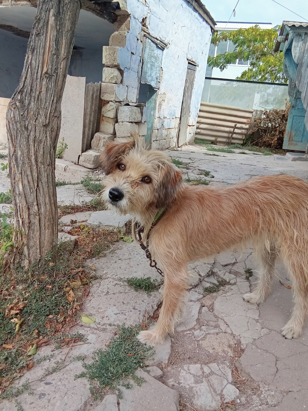 Чудеса и жизнь в будущем будет универсальней, чем сейчас.