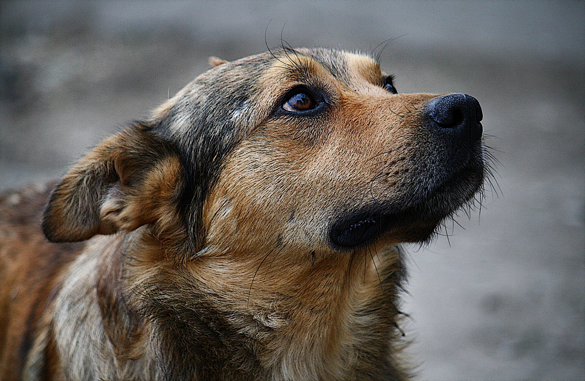Таинственные связи мужчины и женщины. "А зачем ты меня обнюхиваешь?"