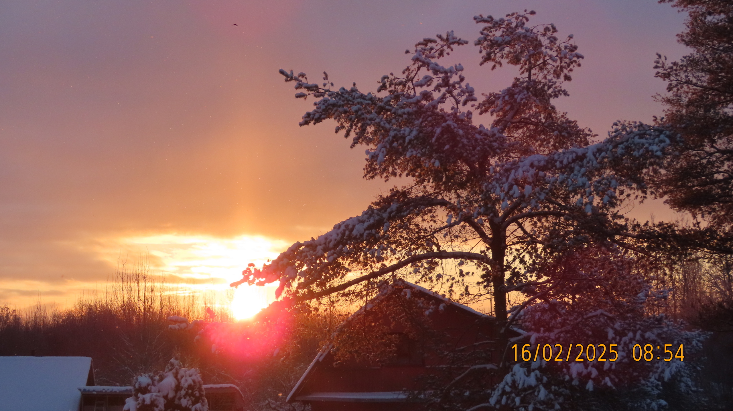 Прощай, февраль! /Межстоличье.