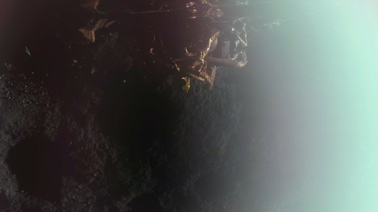 Первое изображение Луны, полученное аппаратом Blue Ghost компании Firefly Aerospace, опубликовано