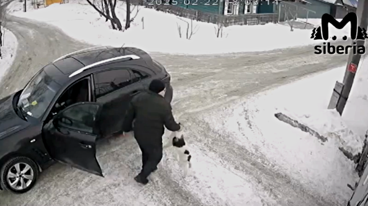 Выбросить нельзя оставить/отдать в хорошие руки