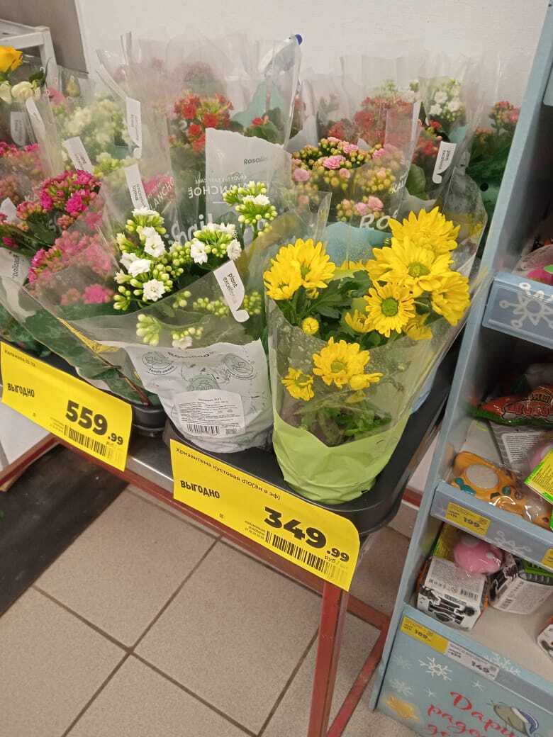 Во сколько обойдется букет цветов на 8 марта 2025 года: обзор цветов в Магните и Пятерочке, сравнение цен с прошлым годом