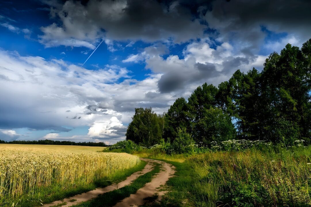 Факты о природе в России: И их достопримечательности