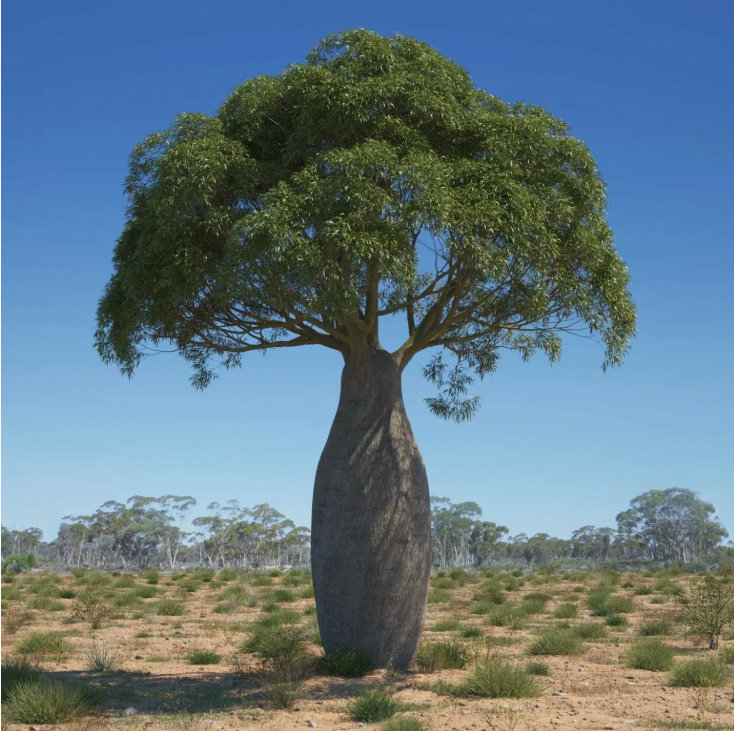 Уникальная природа Австралии (часть 5)