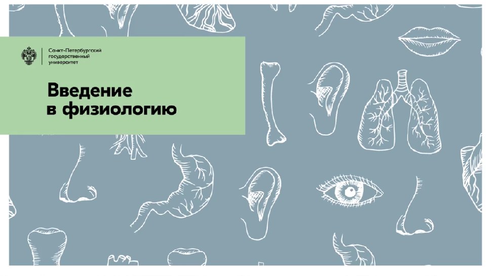 Сила мысли: Телекинез как искусство управления реальностью