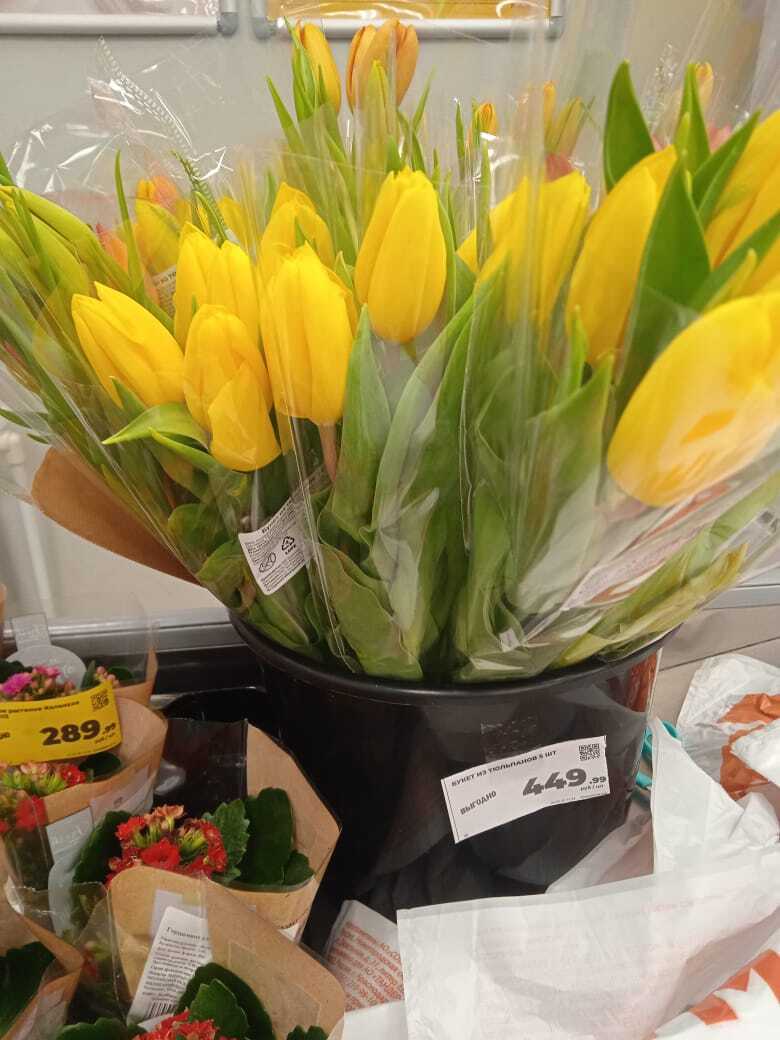 Во сколько обойдется букет цветов на 8 марта 2025 года: обзор цветов в Магните и Пятерочке, сравнение цен с прошлым годом