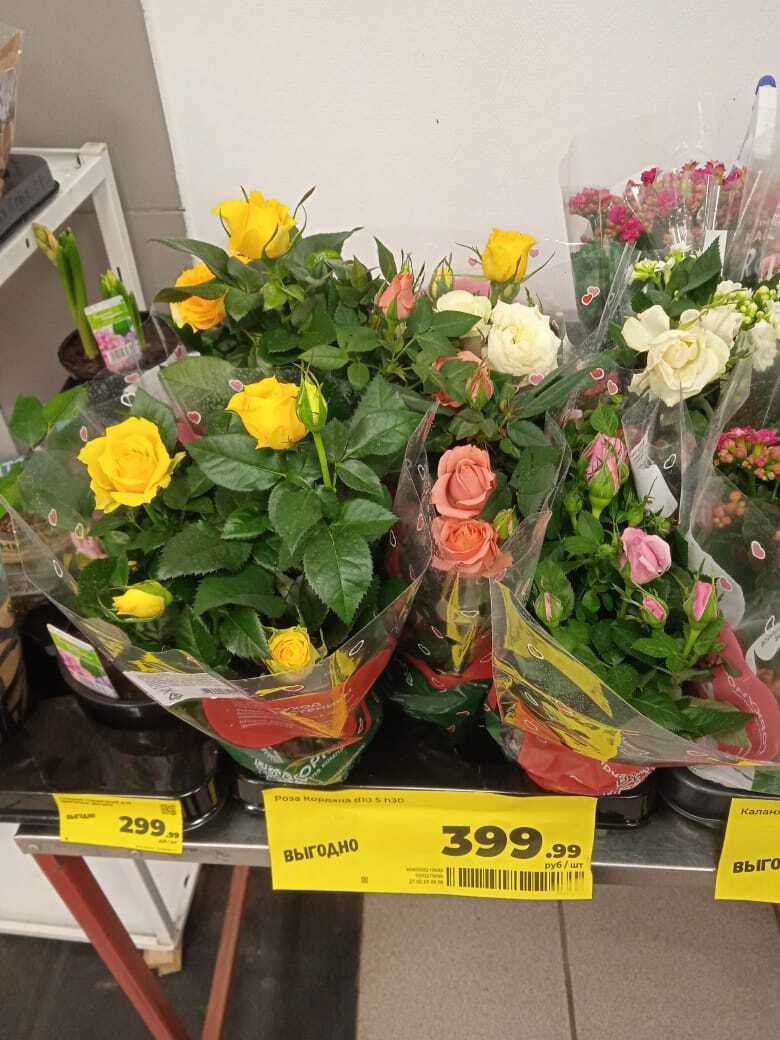 Во сколько обойдется букет цветов на 8 марта 2025 года: обзор цветов в Магните и Пятерочке, сравнение цен с прошлым годом
