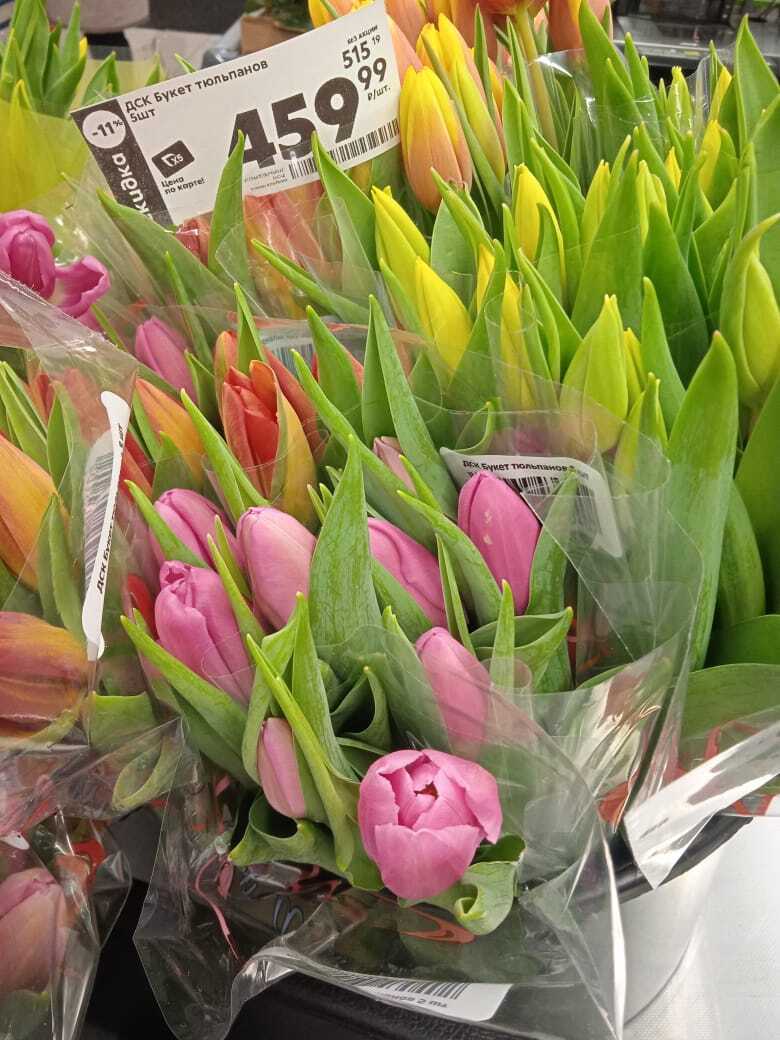 Во сколько обойдется букет цветов на 8 марта 2025 года: обзор цветов в Магните и Пятерочке, сравнение цен с прошлым годом