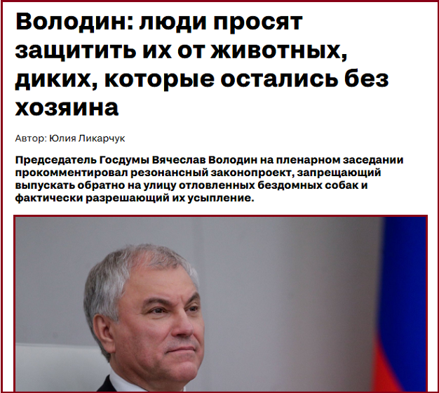 «Люди просят защитить их». Володин раскритиковал противников проекта о защите людей от бездомных животных