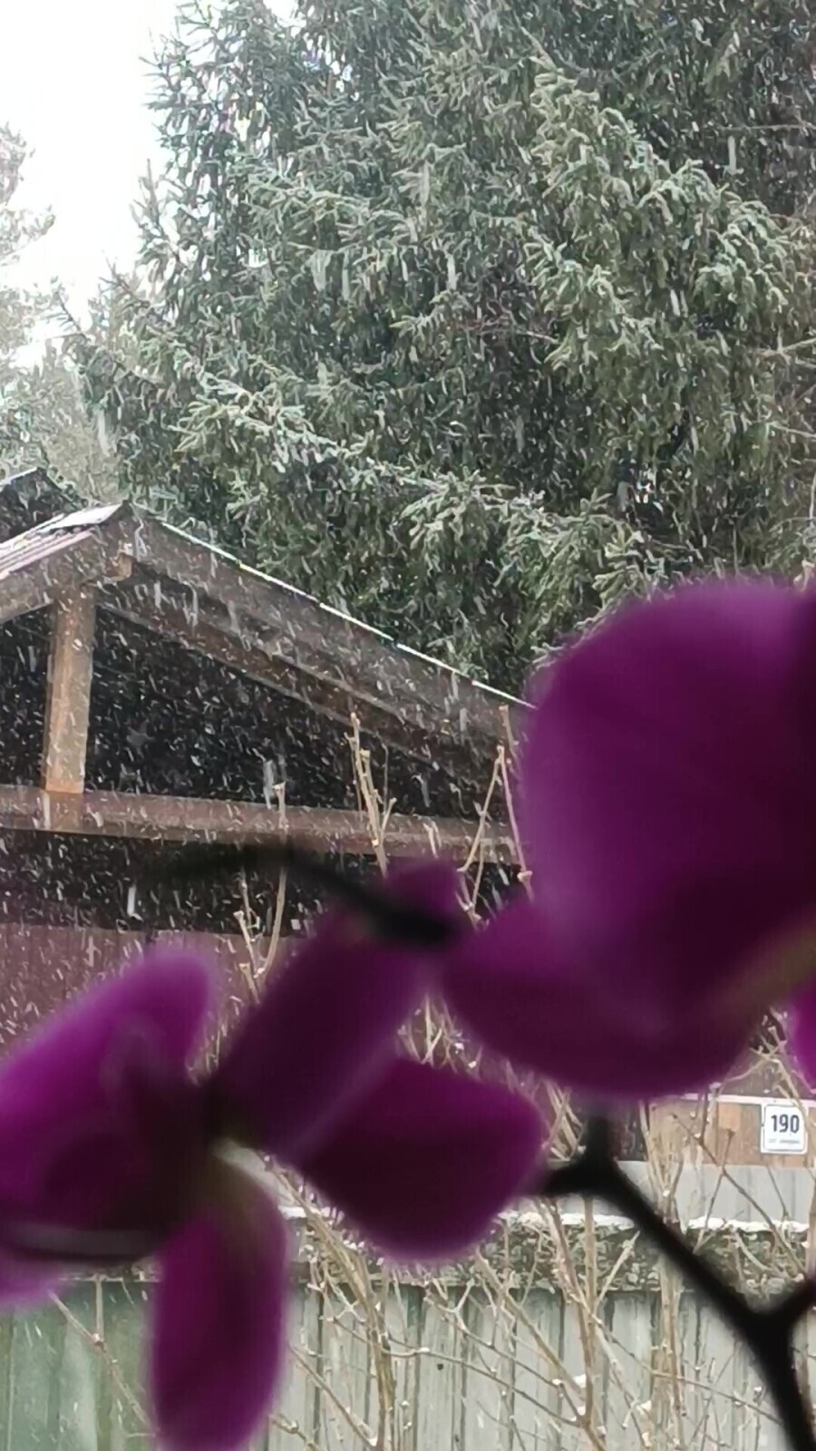 "ГИДРОПРИБОР" / 8 марта близко-близко.../ часть 1.